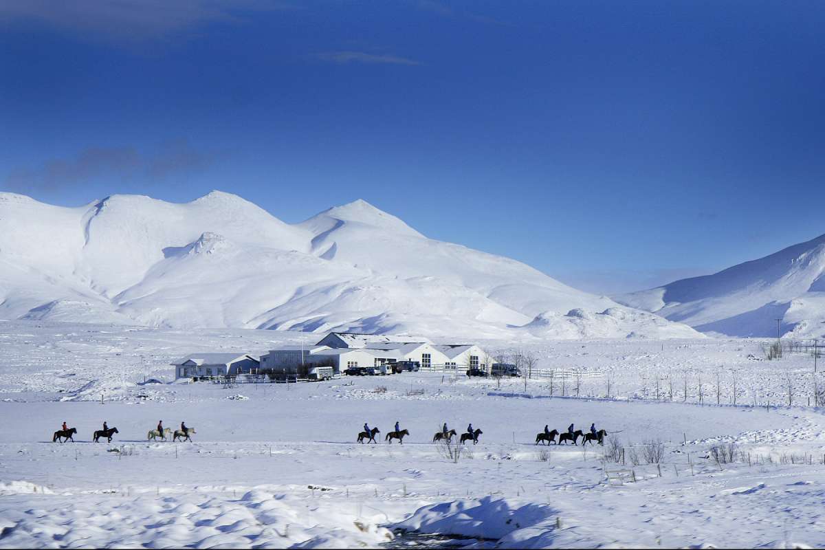 Icelandic-horses-riding-winter-iceland