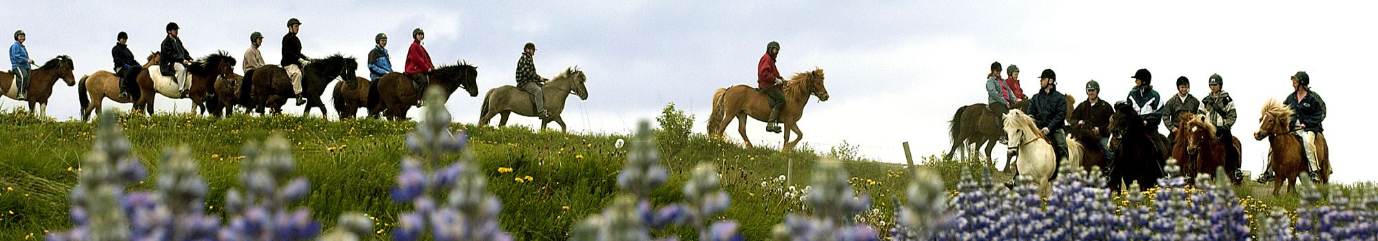 Horseback-riding-summer-iceland