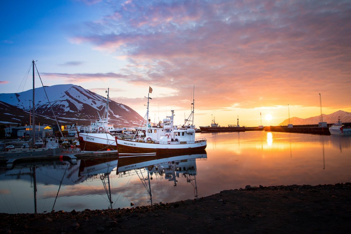 Whale-Watching-Dalvik-North-Iceland