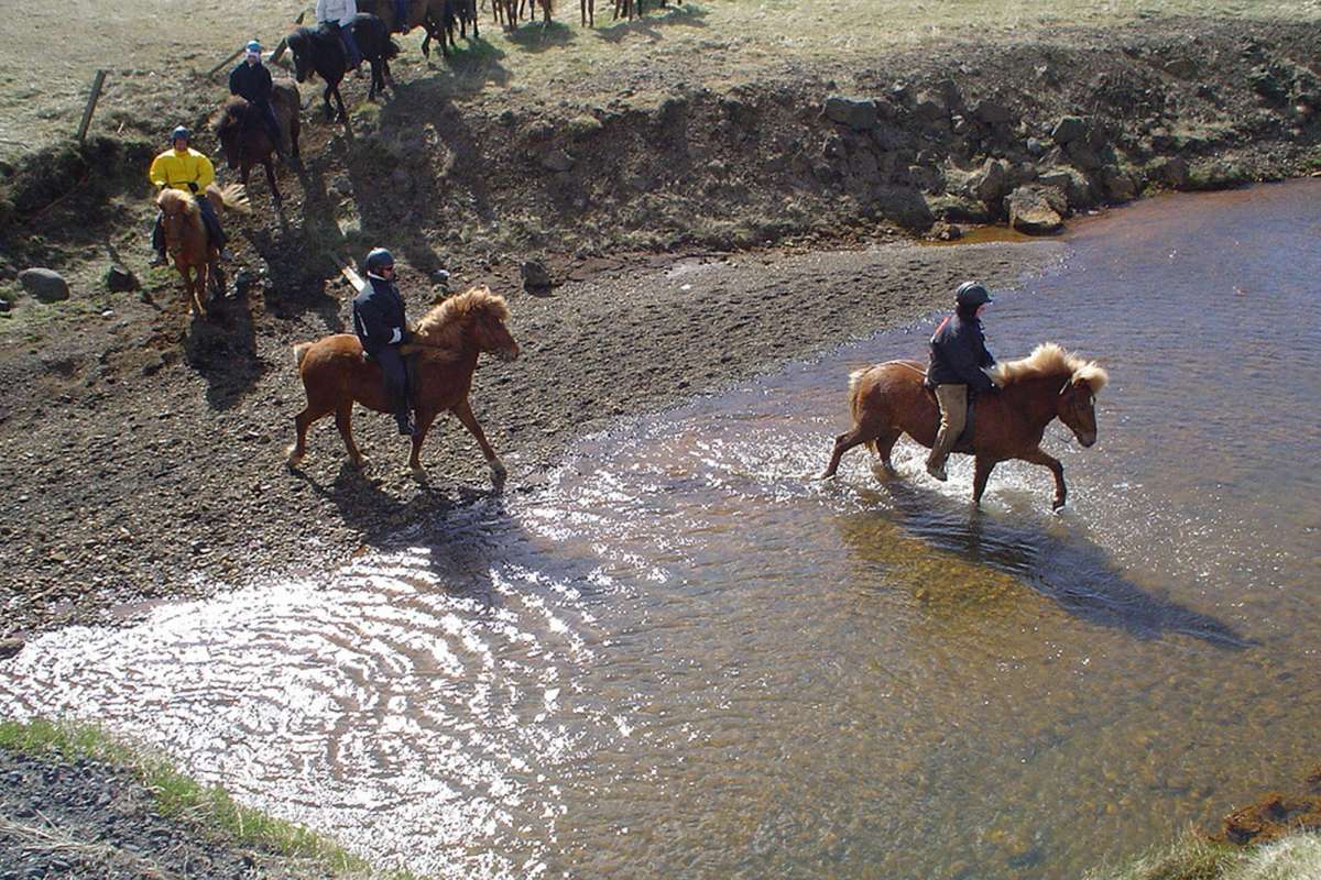 Horse-riding-tour-Iceland