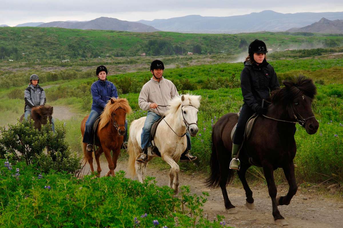 Horse-riding-tour-Iceland