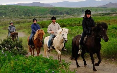 Horse-riding-tour-Iceland