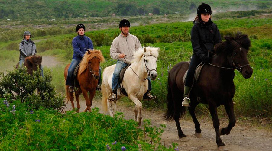 Horse-riding-tour-Iceland