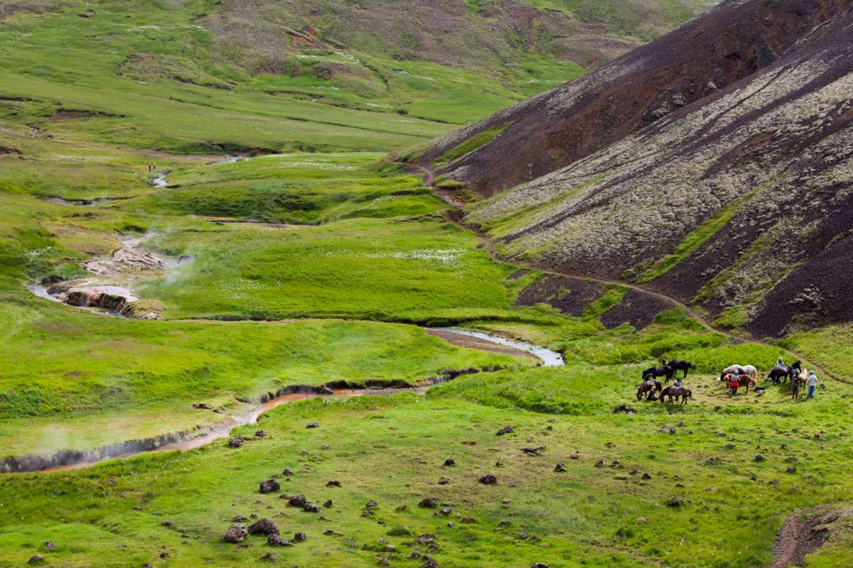 Horse-riding-Reykjadalur-Iceland