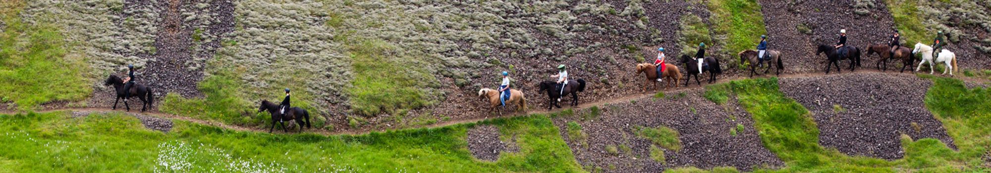 Horse-riding-Reykjadalur-Iceland