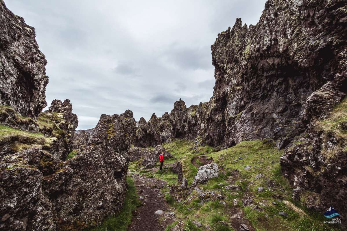Snaefellsnes-West-Iceland-tour-lava-rocks