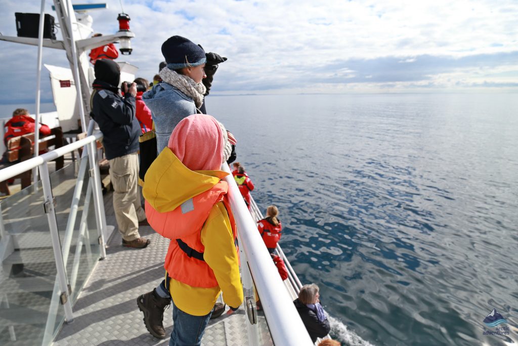Whale-Watching-tour-Iceland