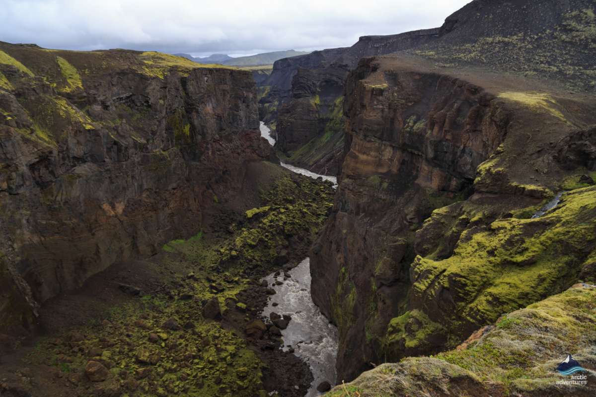 fjardarargljufur-canyon-iceland