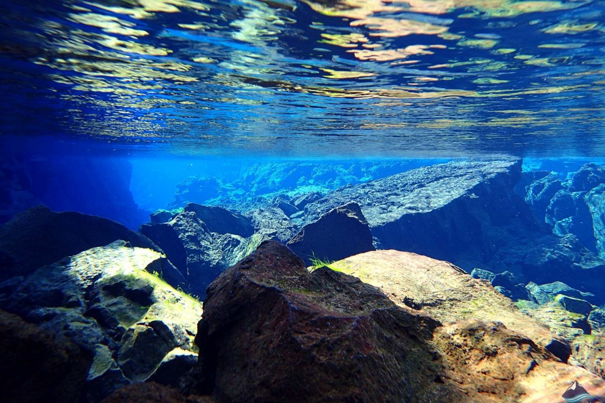 Silfra-Fissure-Snorkeling-Tour-Iceland