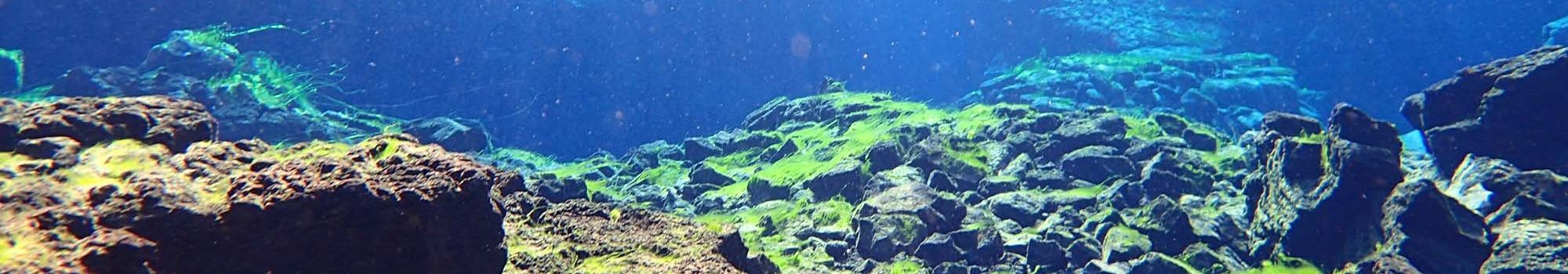 Snorkeling-Tour-Silfra-Fissure-Thingvellir-Iceland