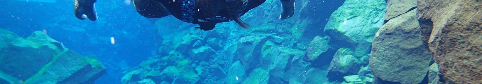 Silfra-Fissure-Snorkeling-Tour-Iceland