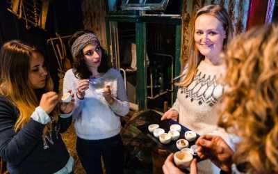 Local information on Icelandic food on a tour