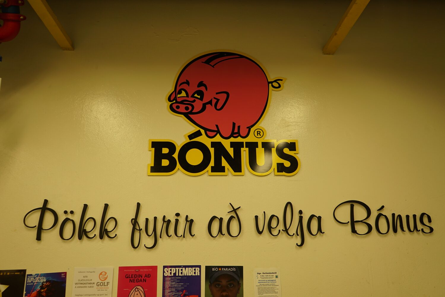 冰岛超市购物指南