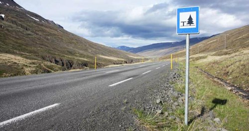 driving rules
