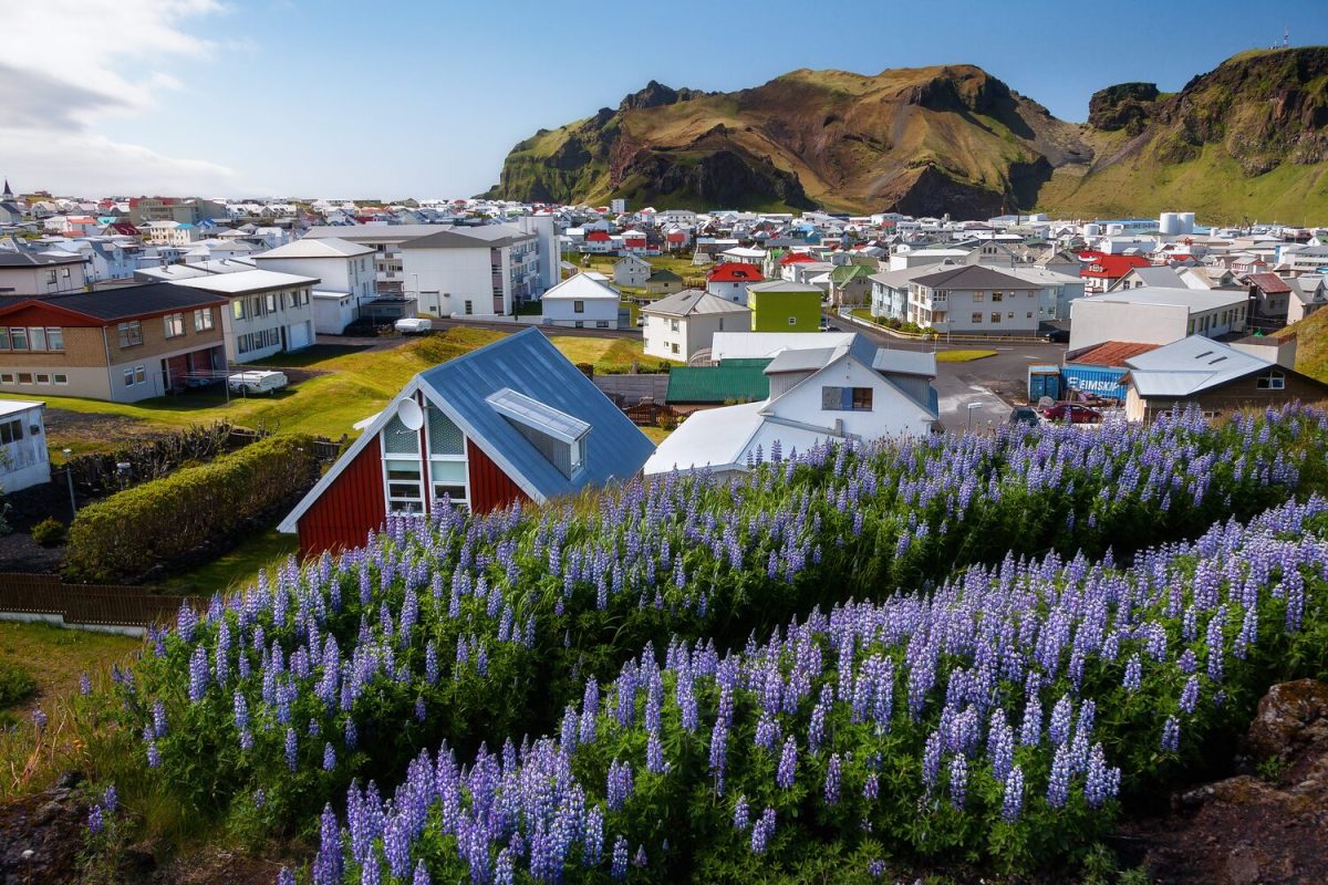 Vestmannaeyjar Islands.