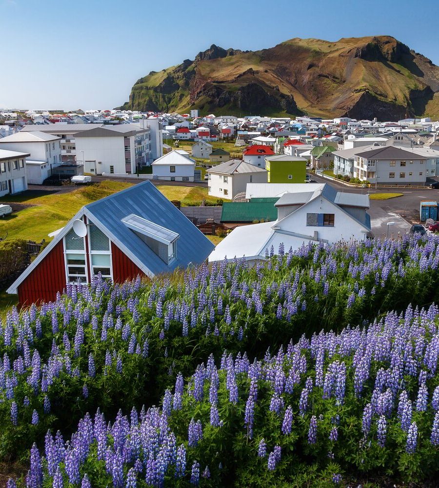 Vestmannaeyjar Islands.