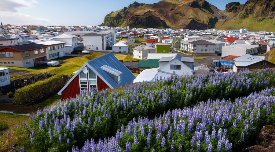 Vestmannaeyjar Islands.