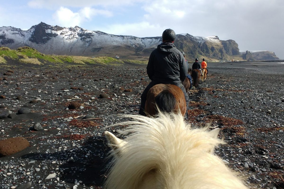 black sand beach horse riding
