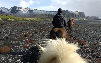 black sand beach horse riding