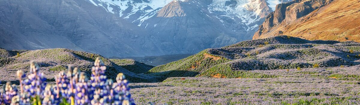 icelandic landscape
