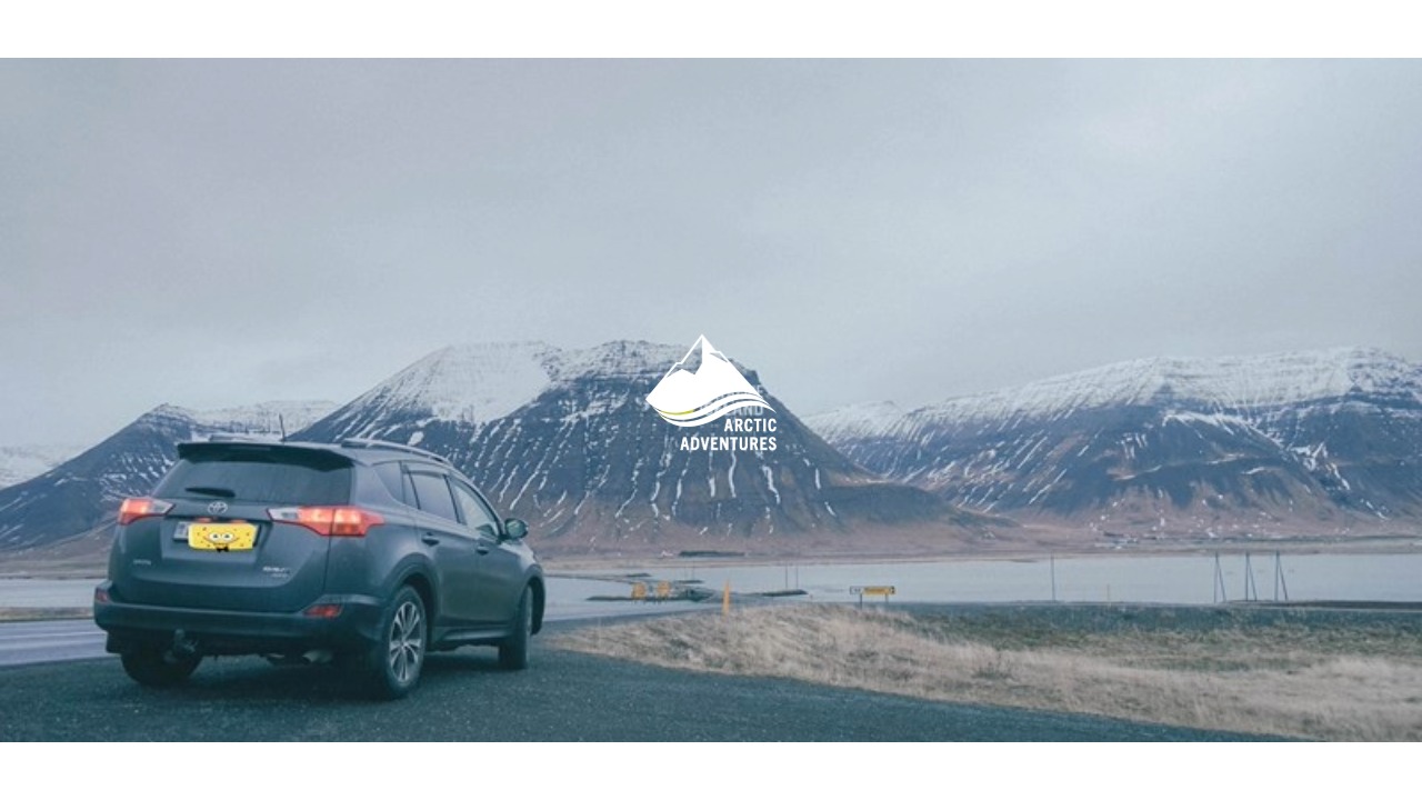 冰岛西峡湾-伊萨费厄泽（Ísafjörður）旅行攻略| Arctic Adventures